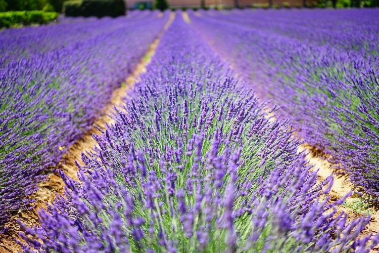 randonnée en Provence-Alpes-Côte d'Azur